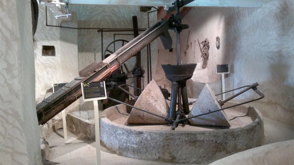 From Seville: Olive Oil Farm Tour - Inside the Small Factory: Machines, Old Methods, and What “Physical” Means