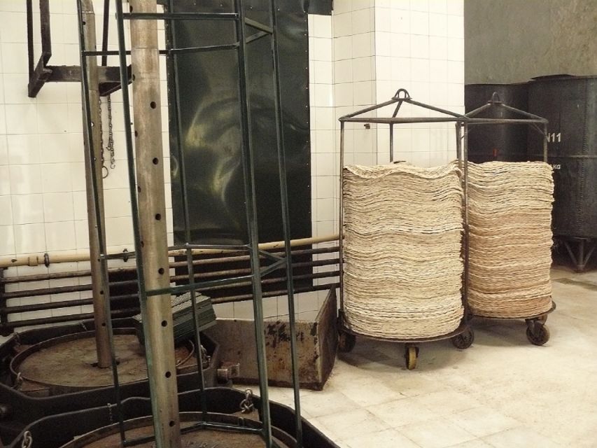 From Seville: Olive Oil Farm Tour - Tips That Make Your Tour Better From Start to Finish