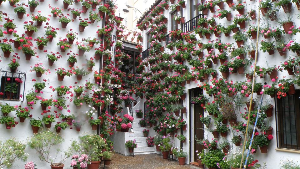 From Seville: Private or Group Full-Day Cordoba Tour - From Seville to Córdoba: How an 8-Hour Day Really Feels