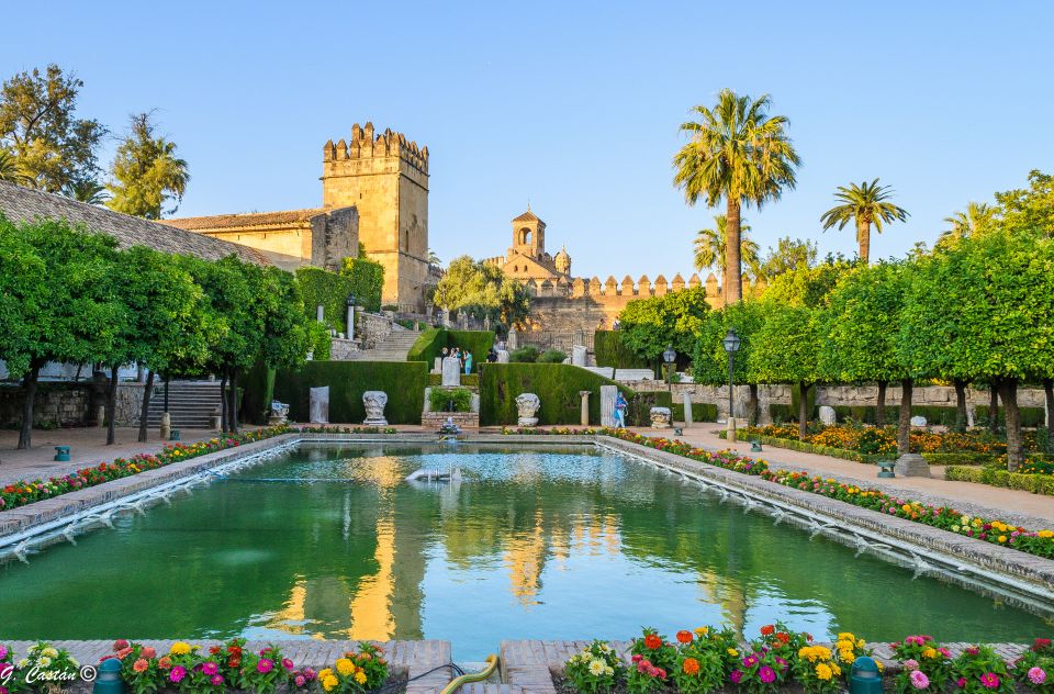 From Seville: Private or Group Full-Day Cordoba Tour - Time Management Reality Check: What You Might Miss in an 8-Hour Format