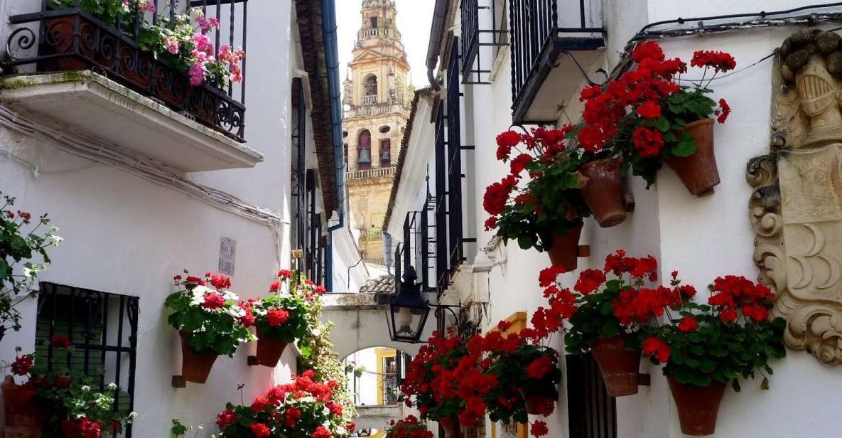 From Seville: Private Transfer to Granada and Córdoba Tour - Timing, Luggage, and the Small Rules That Matter