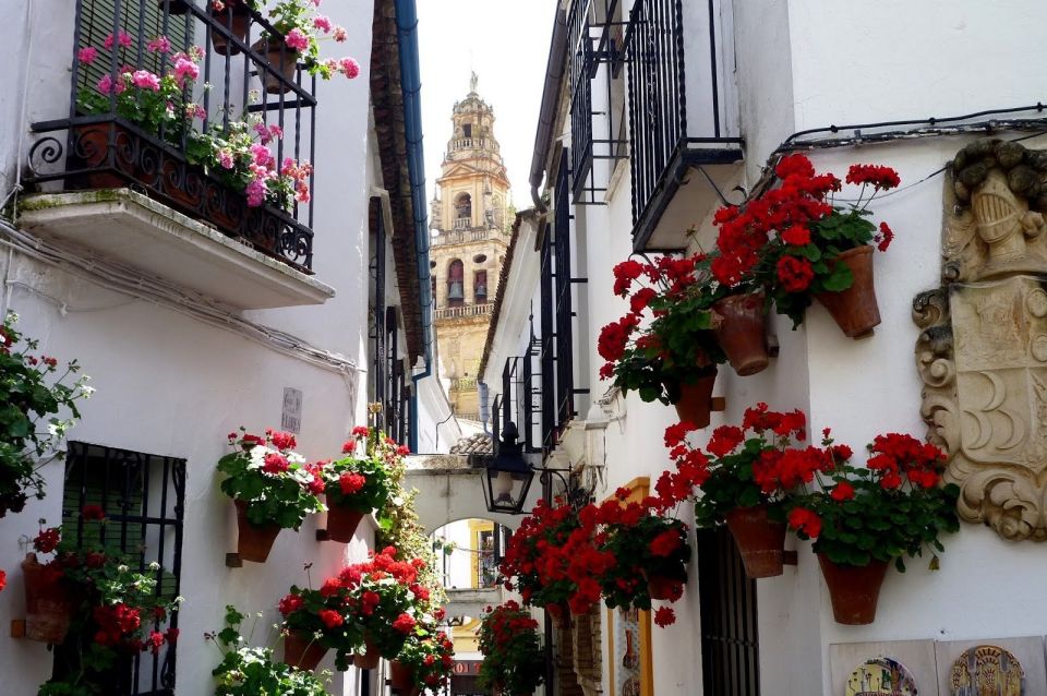 From Seville: Private Transfer to Granada and Córdoba Tour - The 8-Hour Route That Keeps You From Losing a Whole Day
