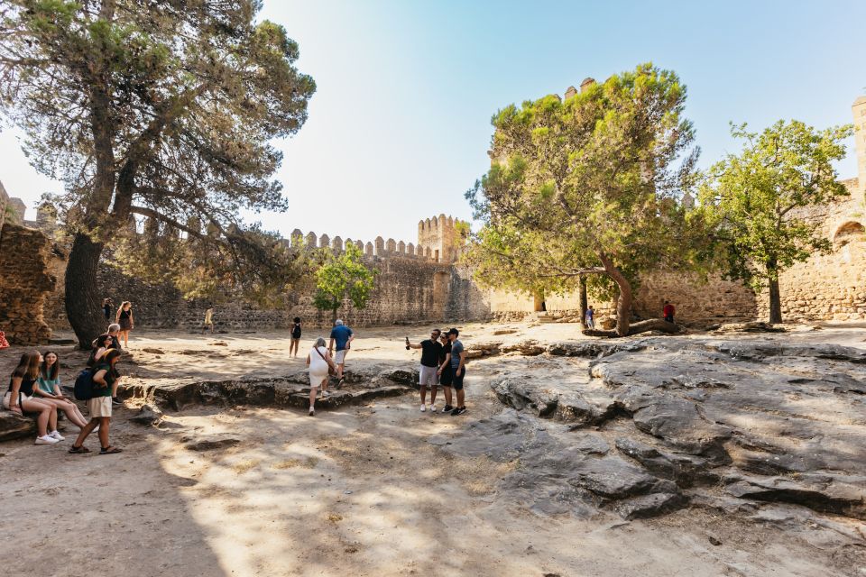 From Seville: Pueblos Blancos and Ronda Full-Day Trip - Grazalema Natural Park: Vultures, Flowers, and a Lunch Break