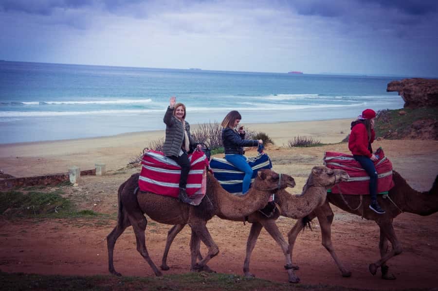 From Seville: Tangier Day Trip with Local Guide and Lunch - Key Things That Make This Day Trip Work