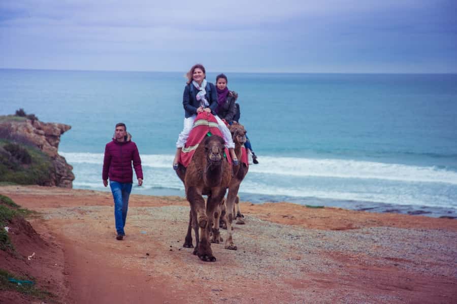 From Seville: Tangier Day Trip with Local Guide and Lunch - Who This Trip Suits Best (and Who Might Feel Strained)