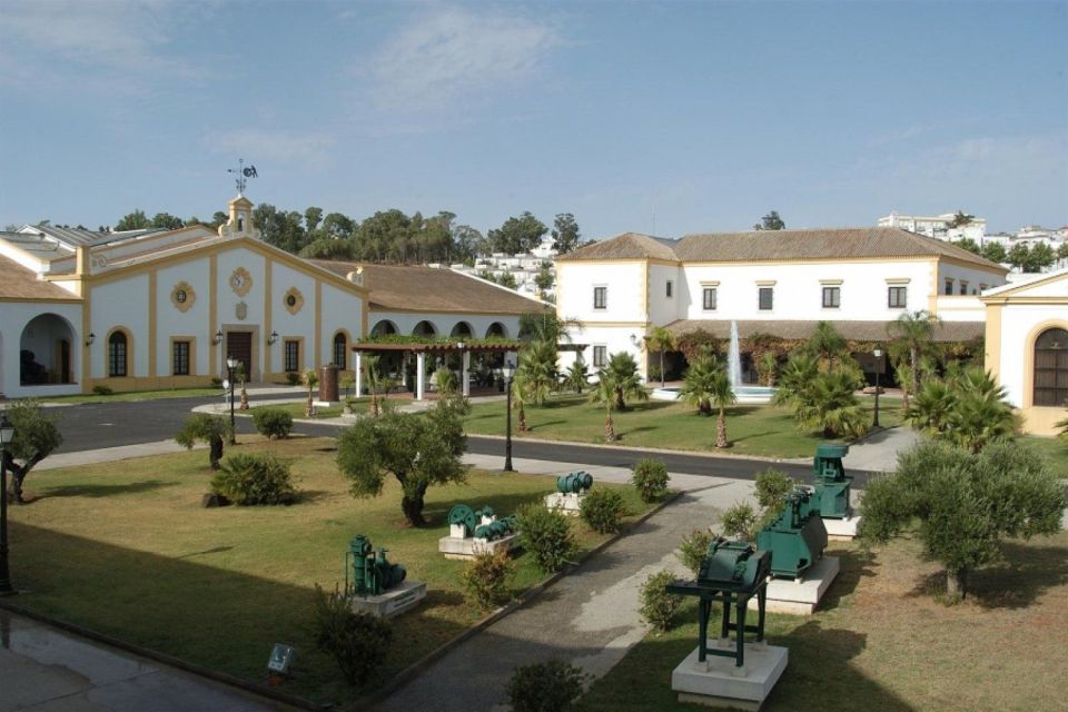 From Seville: Tour of Jerez with Horse Show & Wine Tasting - Key points before you go