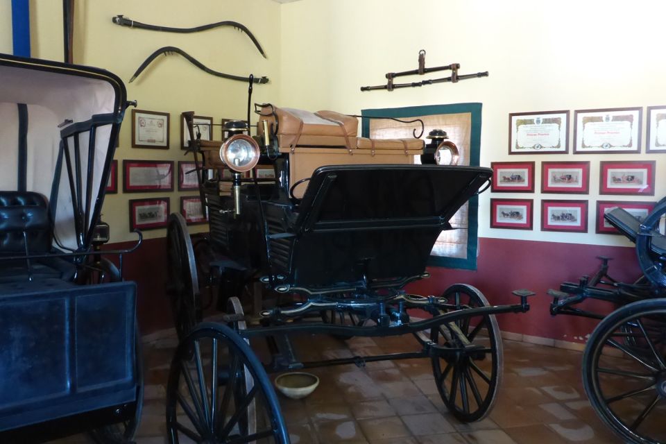 From Seville: Tour of Jerez with Horse Show & Wine Tasting - How the Horses Dance at the Royal School: the main show you came for