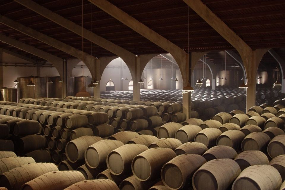 From Seville: Tour of Jerez with Horse Show & Wine Tasting - Price and value: does $147 make sense?