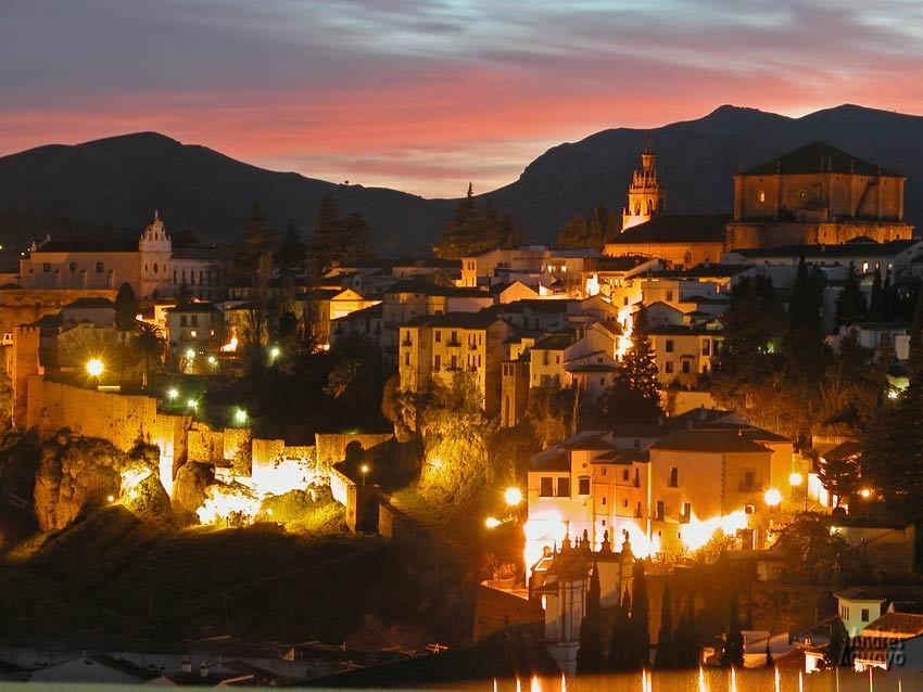 From Seville: White Villages and Ronda Full-Day Trip - The Olive Oil Mill Tour and Extra-Virgin Tasting: What It’s Likely Like