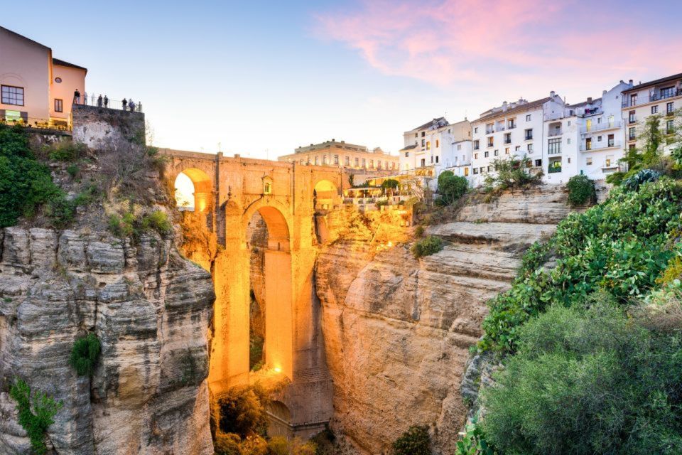 From Seville: White Villages and Ronda Tour - The oil factory stop: more than a souvenir stop