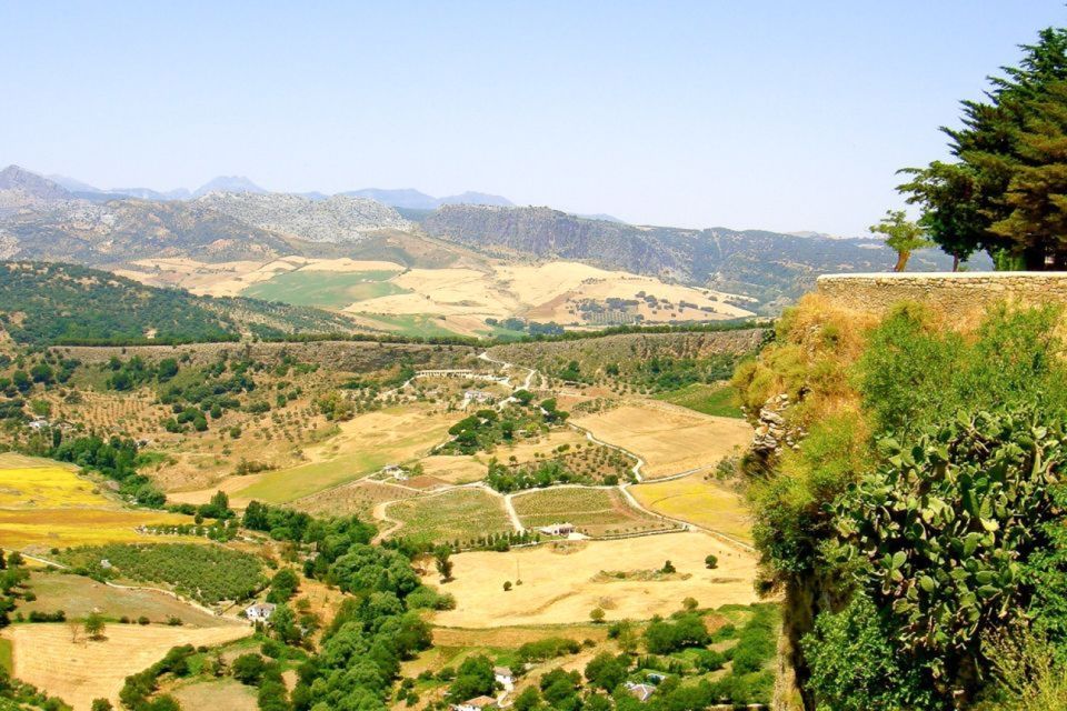 From Seville: White Villages and Ronda Tour - Timing, heat, and what to pack for an 11-hour circuit