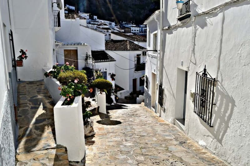From Seville: White Villages Tour - Sierra de Grazalema and Garganta Verde: Where the Air Feels Different