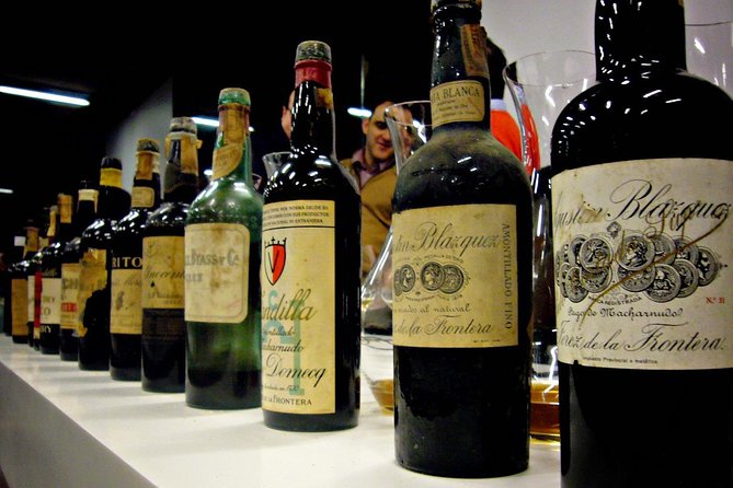 From Seville: Wine Tourism Half Day Tour - The South Wine Story: What the Manager Explains