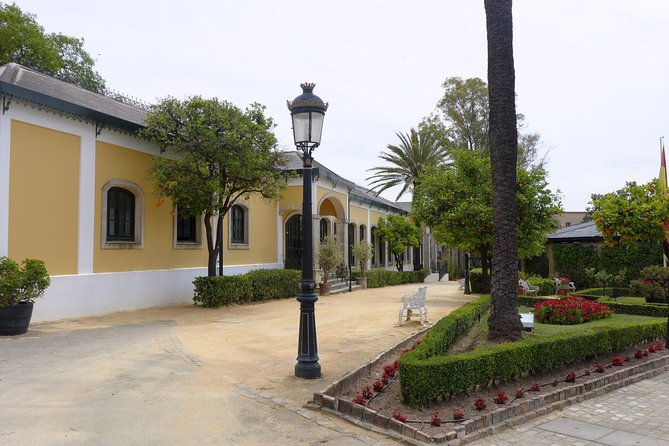 From Seville: Wine Tourism Half Day Tour - Who This Seville Wine Tour Fits Best