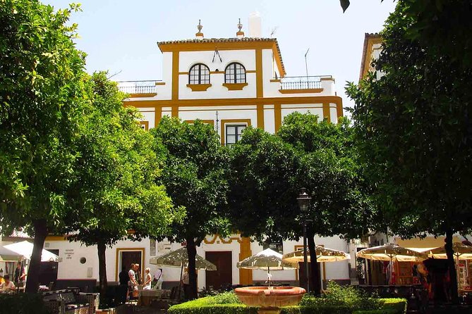 Full Day Seville Tour with tickets (optional Tapas & Flamenco) - Real Alcázar: gardens, palace drama, and movie locations