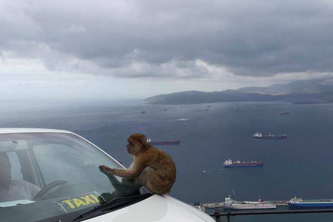 Gibraltar Day Trip from Seville + Rock Tour - Europa Point and the Strait views: quick, but worth it