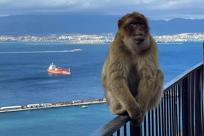 Gibraltar Private Daytrip From Sevilla - Pillars of Hercules: Greek myth meets the end-of-the-world feel