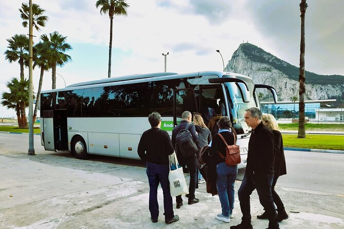 Gibraltar with Rock of Gibraltar & St. Michael Cave from Seville - What the Guided Experience Actually Feels Like