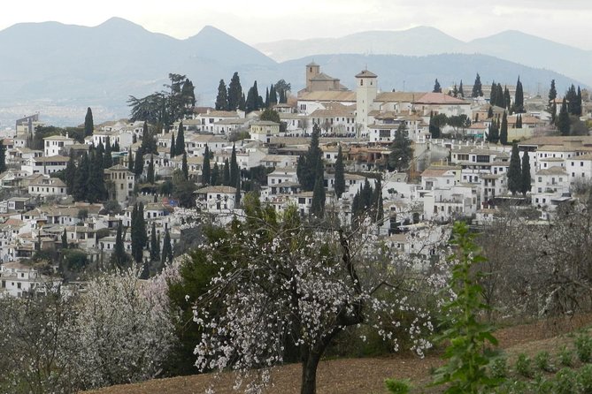 Granada Day Trip: Alhambra & Nazaries Palaces from Seville - FAQ