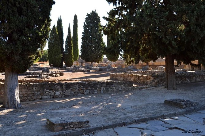 Group Excursion from Seville to Italica (Seville Roman Town) - Where to meet and how the timing plays out