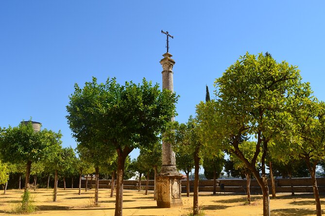 Guided tour of the Monastery of San Isidoro del Campo - Group size and the “ask questions” factor