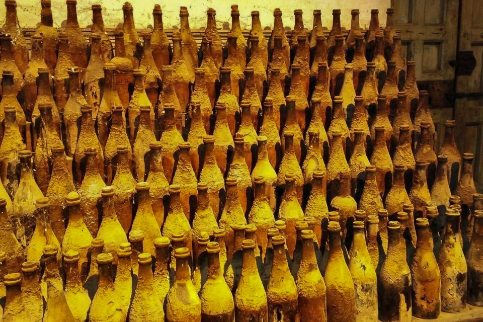 Half-Day Wine Tour in Andalusia in small group - Key highlights at a glance