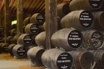 Half-Day Wine Tour in Andalusia in small group - Getting out of Seville: pickup, drive time, and the pacing