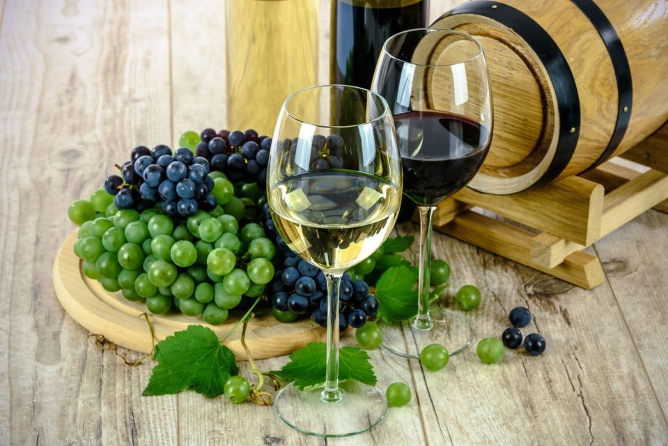 Half-Day Wine Tour in Andalusia in small group - The tasting: how many wines you’ll sample and what to look for