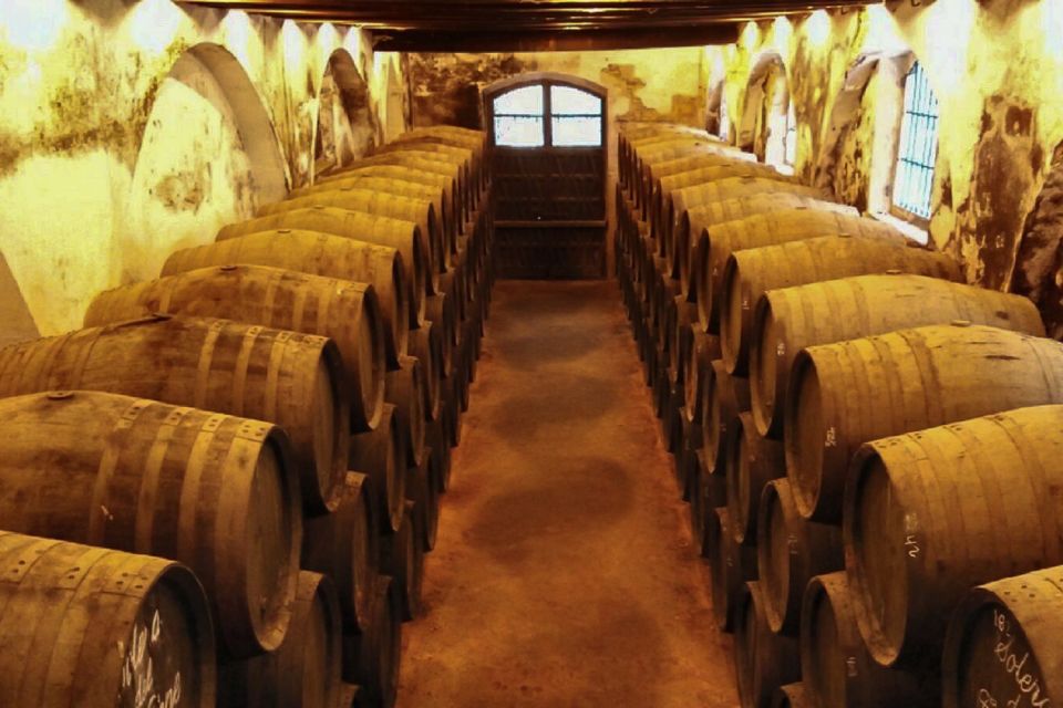Half-Day Wine Tour in Andalusia in small group - Shared vs private: choosing the right group vibe