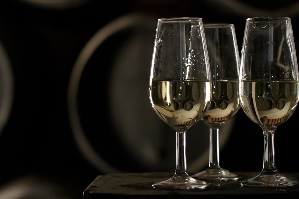 Half-Day Wine Tour in Andalusia in small group - Who should book this Andalusia wine tour