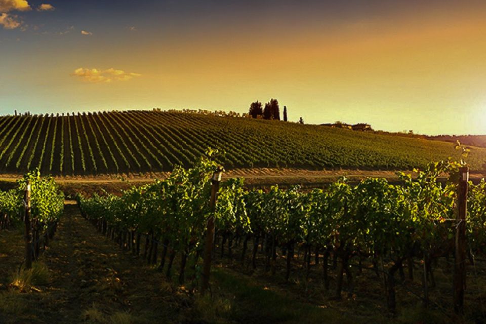 Half-Day Wine Tour in Andalusia in small group - A quick checklist before you go