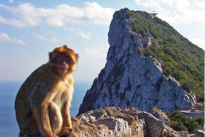 Historic Gibraltar Rock and St Michael's Cave Tour from Seville - Price and value: what you get for around $153