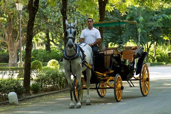Horse and Buggy Ride in Seville with guide - Seville Cathedral and Giralda: Why the Slow Roll Works