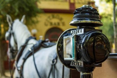 Horse and Buggy Ride in Seville with guide - Alcázar Royal Palace Views Without the Ticket Rush