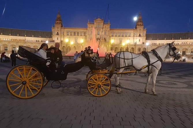 Horse and Buggy Ride in Seville with guide - Comfort, Horses, and Timing: What You Can Control