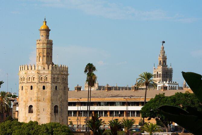 Horse and Carriage Sightseeing Tour in Seville - Archivo de Indias, Torre del Oro, and the river walk feeling