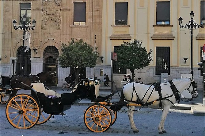 Horse-Drawn Carriage Ride through Seville - Stop 3: Sevilla Cathedral and the Giralda area from the carriage