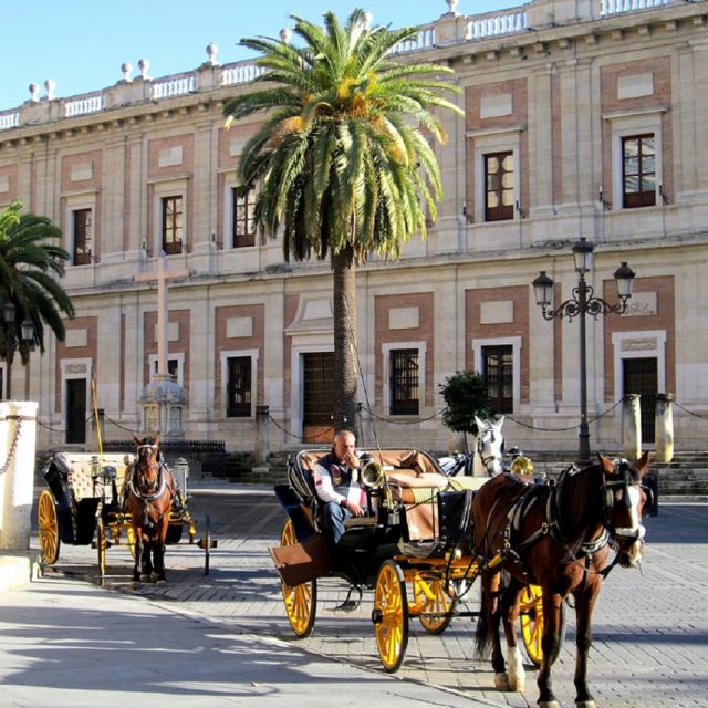 Horse-Drawn Carriage Ride Through Seville - University, Hotel Alfonso XIII, and Little Details You’ll Notice Later
