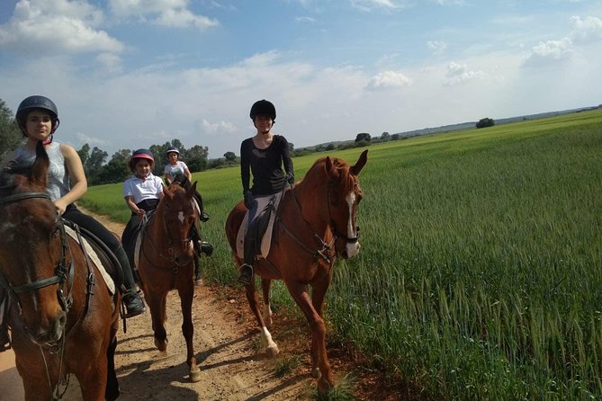 Horseback riding around Doñana National Park - Doñana-area riding, but close to Seville