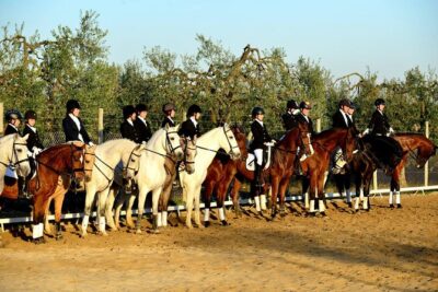Horseback riding around Doñana National Park - What happens at the stables: helmets, tack, and choosing your horse