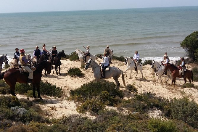 Horseback riding tour of Doñana and visit of El Rocio - Getting There: The 10:00 Start and What the Day Tempo Means