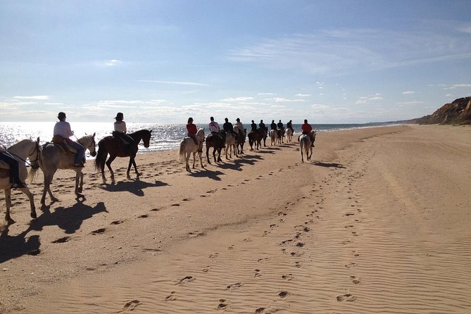 Horseback riding tour of Doñana and visit of El Rocio - Price, Inclusions, and What to Bring (Lunch Is on You)