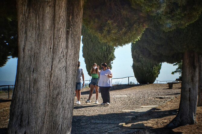 Italica 2-Hour Private Guided Tour - Trajan Monument and the Route Through Imperial Italica