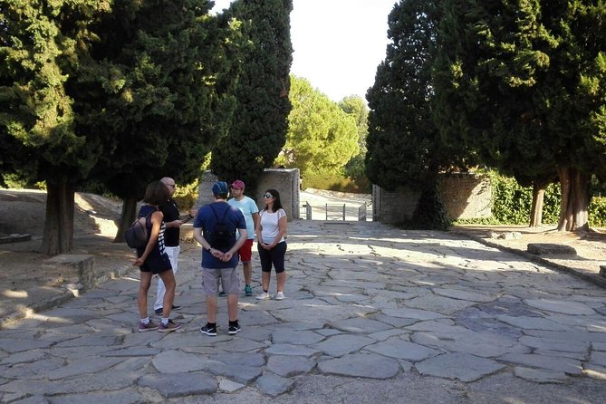 Italica 2-Hour Private Guided Tour - The House of the Planetarium: Mosaics You’ll Actually Notice