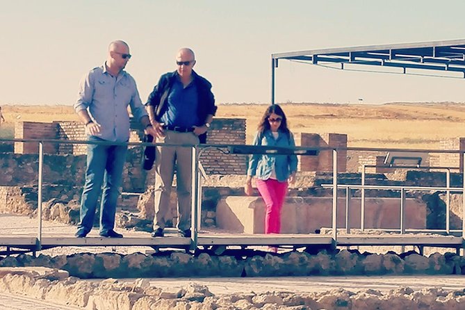 Italica 2-Hour Private Guided Tour - Baths, Thermal Life, Gym, and Bread Oven: Roman Daily Living