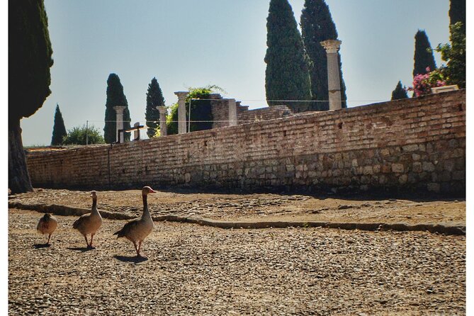 Italica 2-Hour Private Guided Tour - Roman Emperors: Trajan and Hadrian, and Why Italica Matters