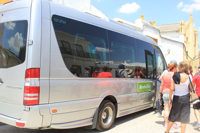 Italica Roman City Tour from Seville - Comfort and logistics: air-conditioned ride, but uneven walking