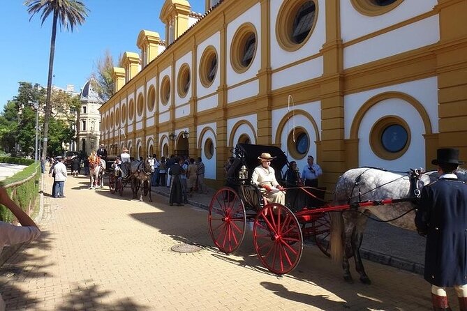 Jerez and Cadiz Day Trip from Seville - The pace, group size, and the multi-language rhythm