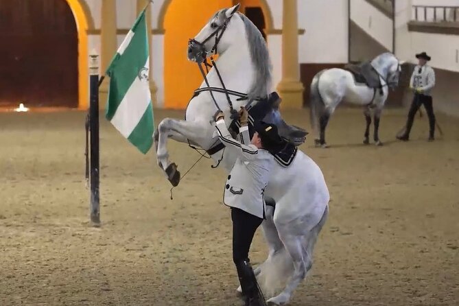 Jerez & Cadiz Winery with Tasting & Opt Horse Show from Seville - Key things worth knowing