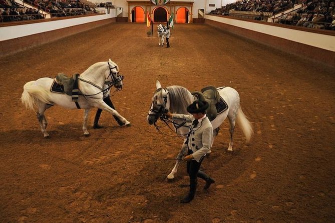Jerez & Cadiz Winery with Tasting & Opt Horse Show from Seville - Cádiz: short guided walk, then freedom by the water